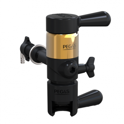 PEGAS Evolution Gold в Красноярске